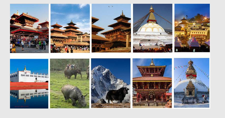 Boudhanath Stupa, Swayanbhunath temple, Kopan Monastery, Lumbini, white monastery, one horn rhino and Shechen monasteries.